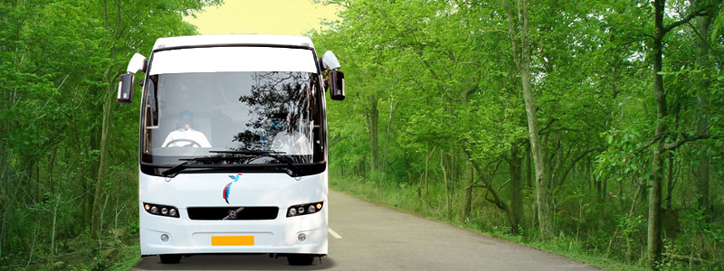One Day Hyderabad to Srisailam Mallikarjuna Tour Package by Non-A/C Bus